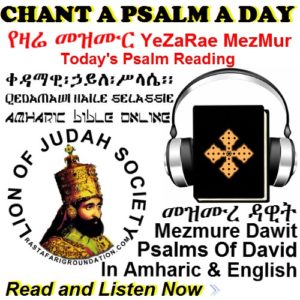 Psalms Of David | In Amharic and English