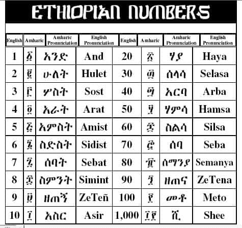 Quick Ethiopic Amharic Numbers - Numerals Lesson Chart