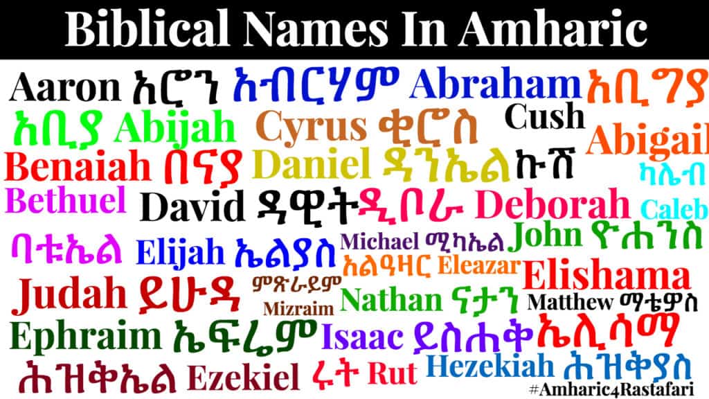 amharic bible search