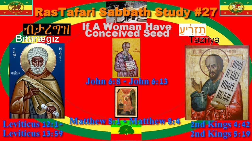RSS 27: Tazria | מצורע | She conceives ብታረግዝ | b’tareg’z [btaregz; bittarregiz]